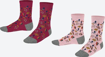 FALKE Socken in Lila: predná strana