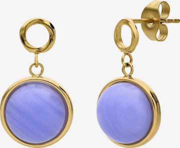 Lucardi Earrings in Gold: front