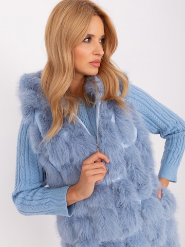 Madnezz House Weste in Blau