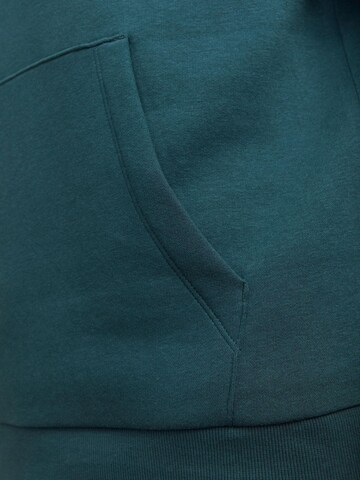 JACK & JONES Sweatshirt i grøn