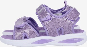 ZigZag Sandals 'Flour' in Purple