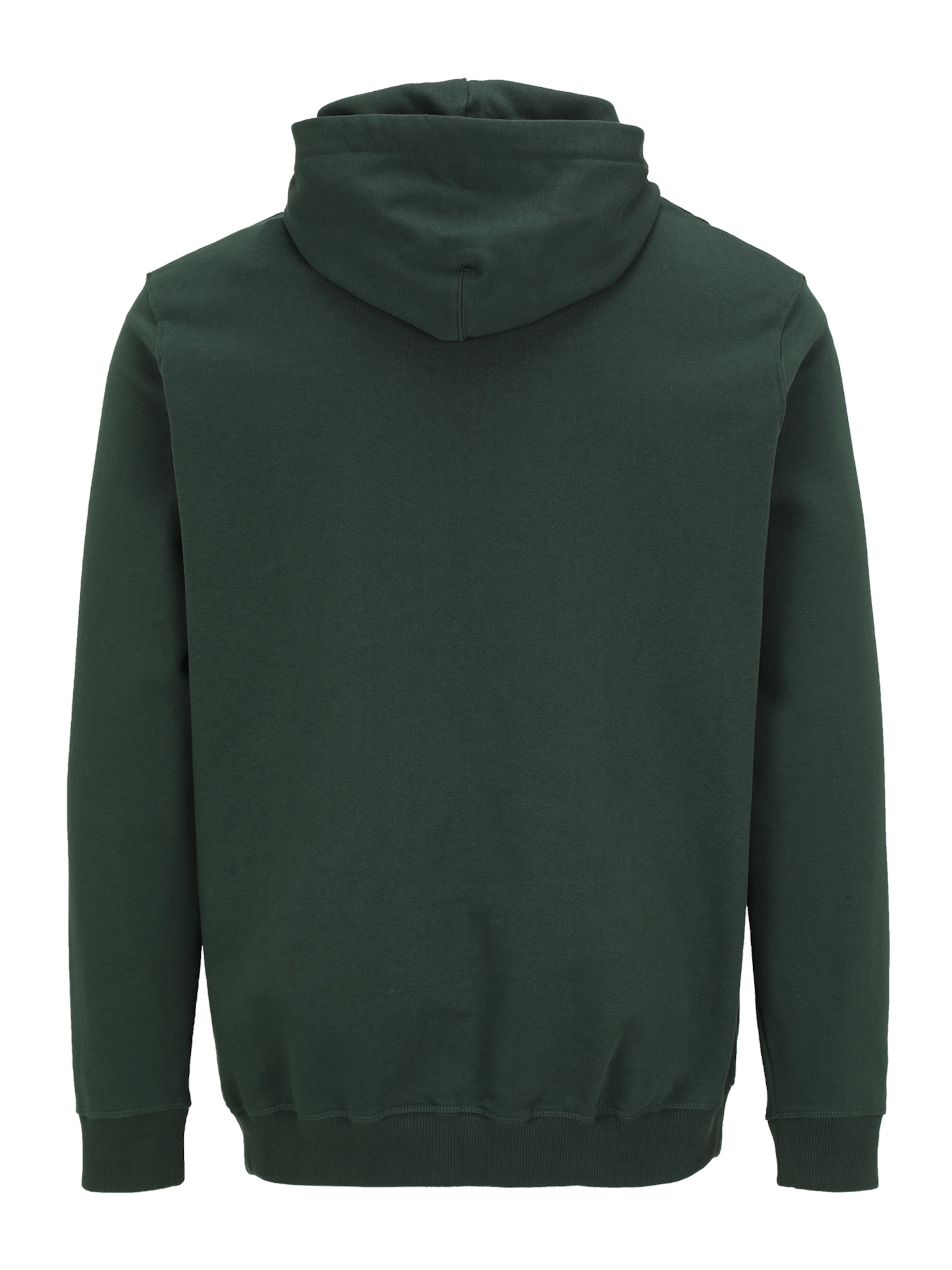 Jack & Jones Plus Свитшот 'JORNORREBRO' в Зеленый