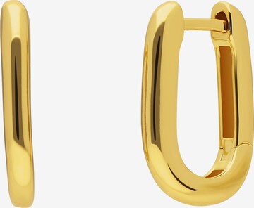 Lucardi Earrings in Gold: front