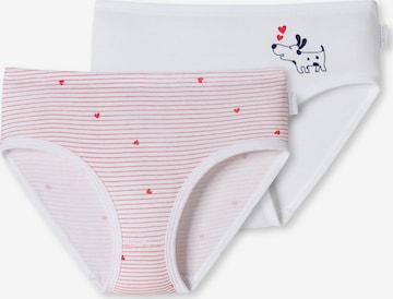 SCHIESSER Underpants in White: front