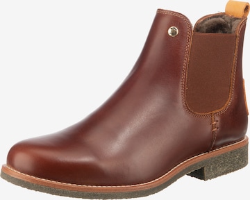 PANAMA JACK Chelsea Boots 'Giordana igloo Travelling' i brun: forside