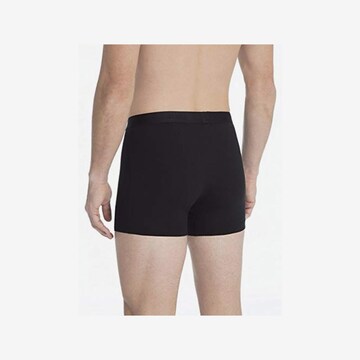 CALIDA Boxershorts in Schwarz