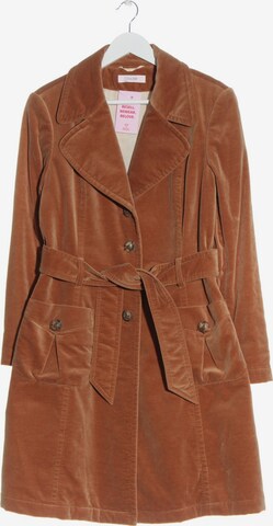 LAUREL Jacket & Coat in S in Brown: front