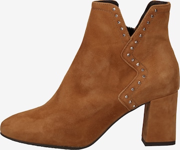 IGI&CO Ankle Boots in Brown