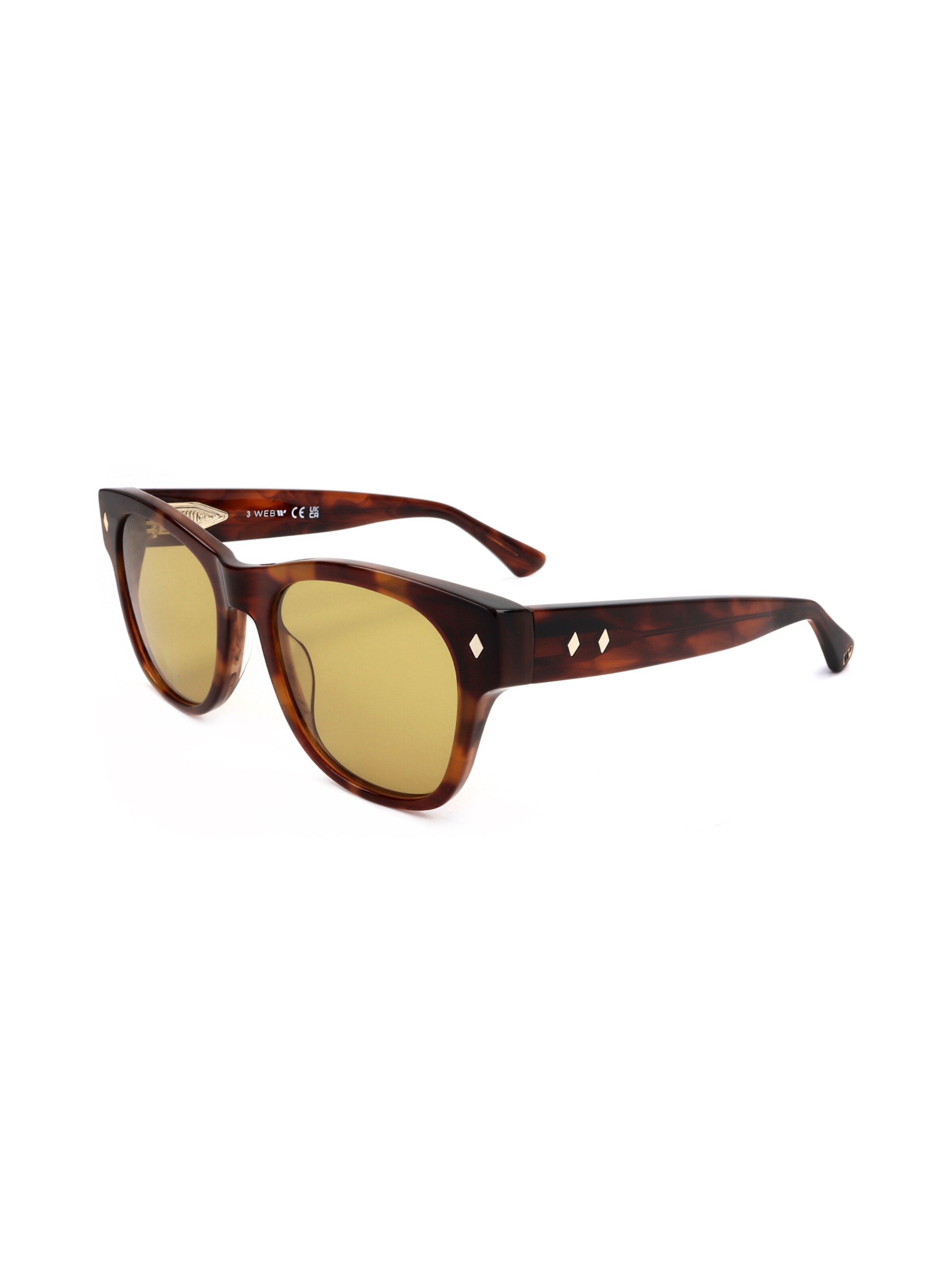 Occhiali da sole 'WE0353' di Web Eyewear in marrone: frontale