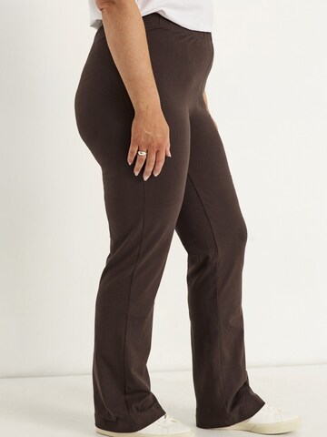 Cellbes of Sweden Bootcut Leggings in Bruin