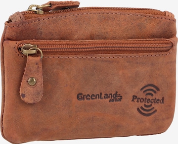 Greenland Nature Case in Brown