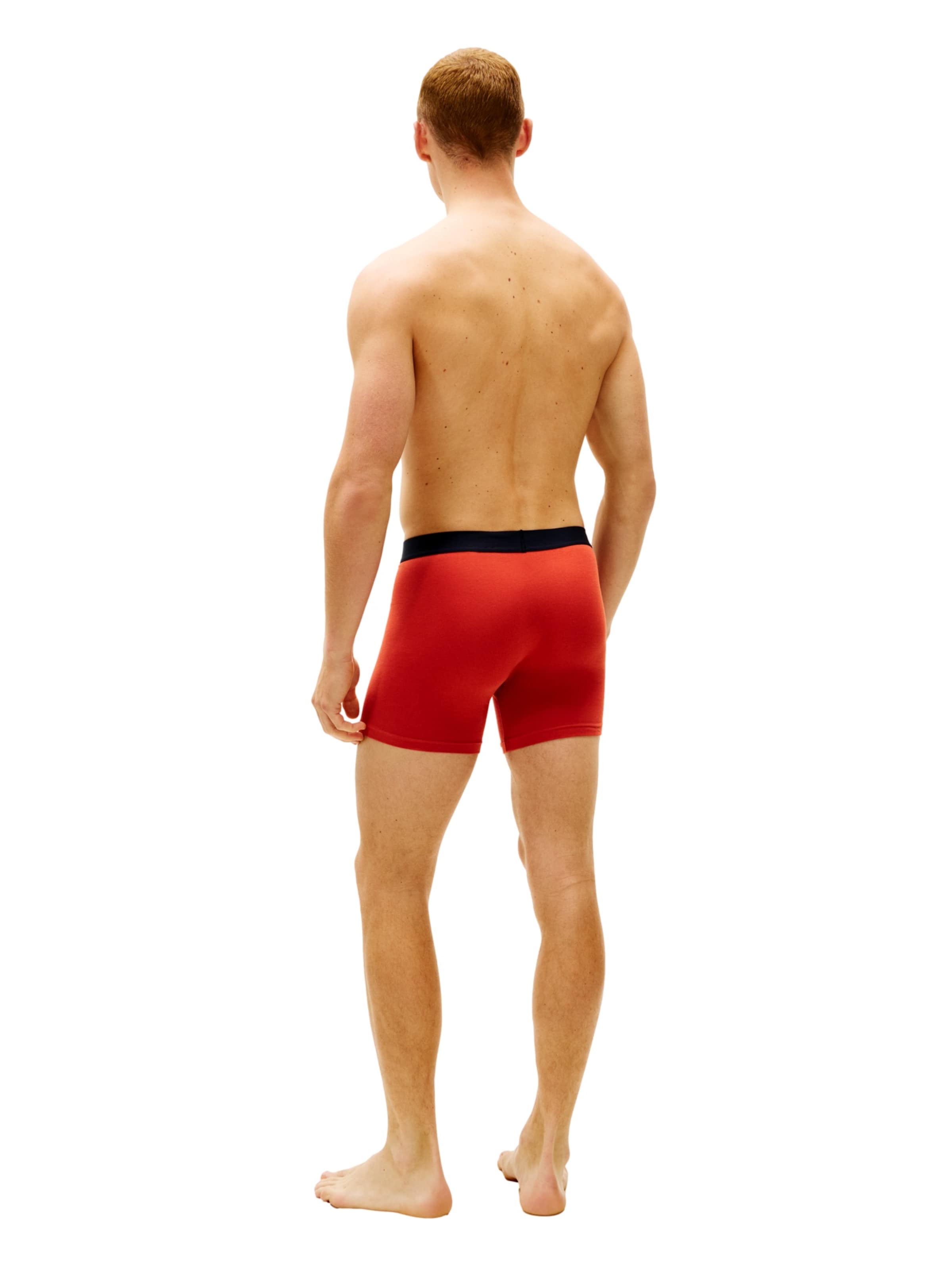 Boxers TOMMY HILFIGER en mélange de couleurs