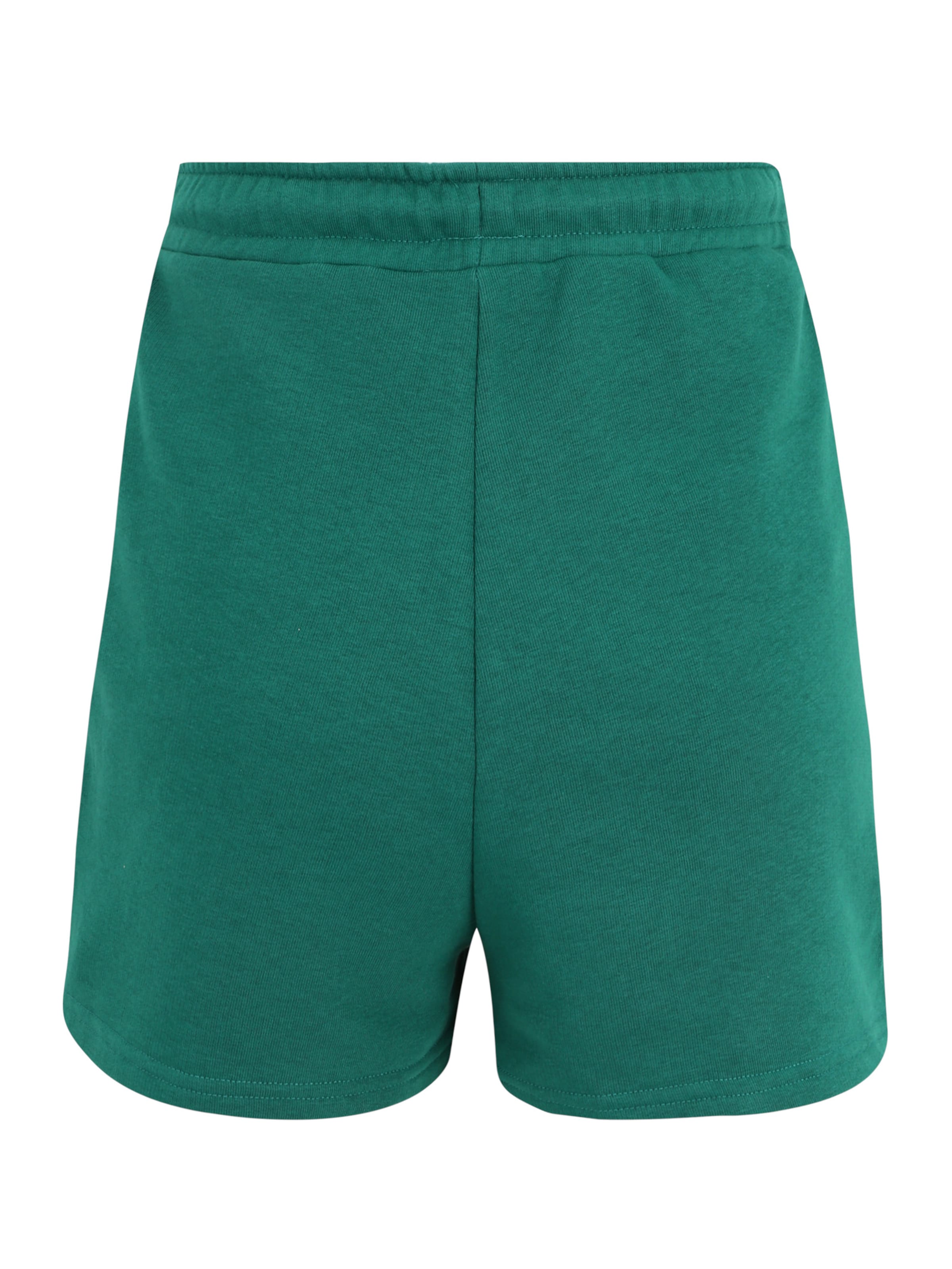 FILA Обычный Спортивные штаны в Зеленый