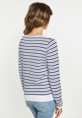 usha BLUE LABEL Sweater in Blue