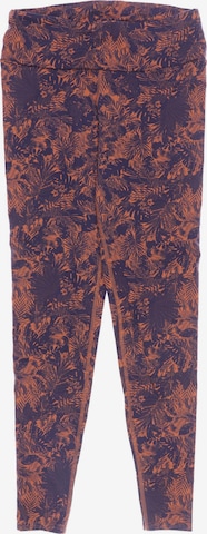 Hey Honey Pants in XL in Orange: front