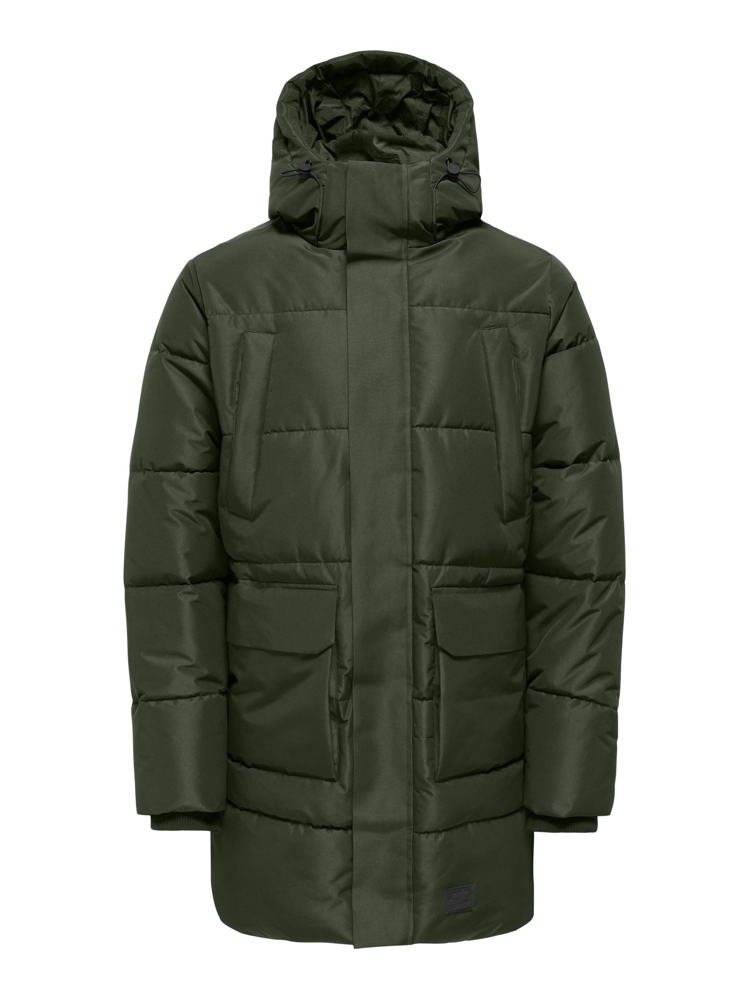 Only & Sons Winter jacket 'CAM ' in Green: front