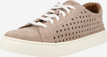 Dorothy Perkins - Zapatillas deportivas bajas 'Charlotte' en rosa: frente