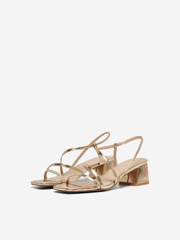 ONLY Sandalen met riem 'AYLIN' in Goud