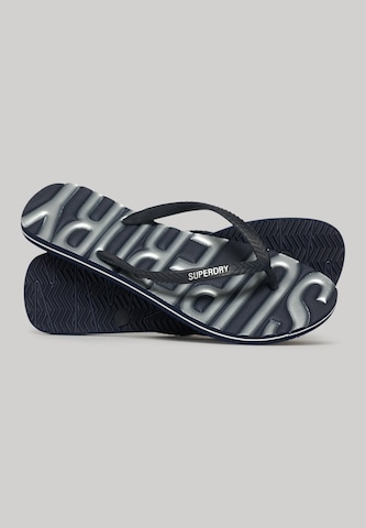 Tongs Superdry en bleu