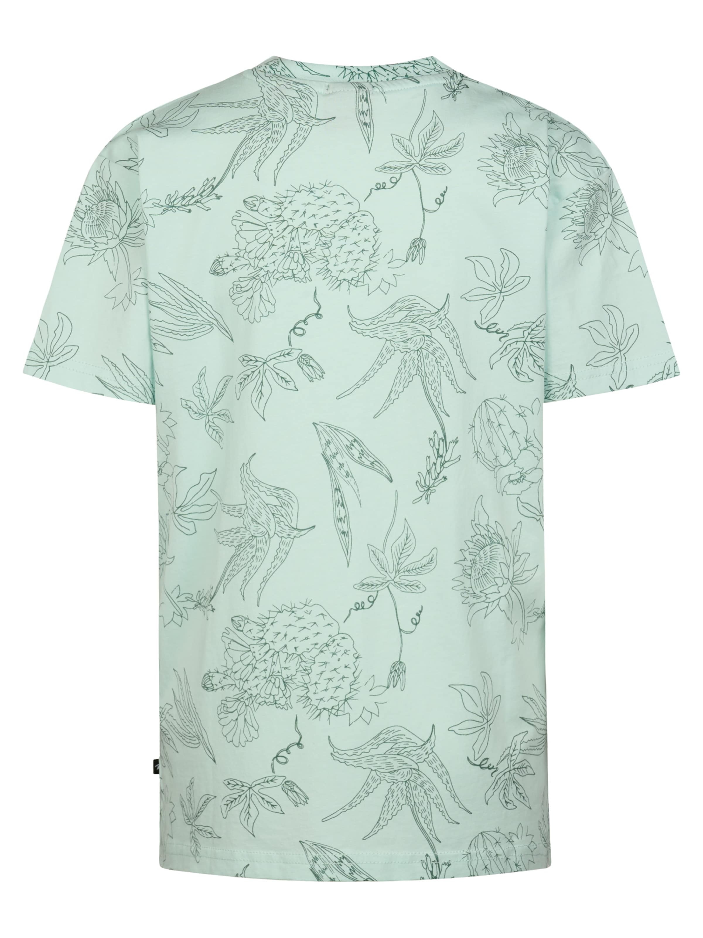 Petrol Industries Shirt 'Agave' in Groen