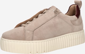 Baskets basses SALAMANDER en beige : devant