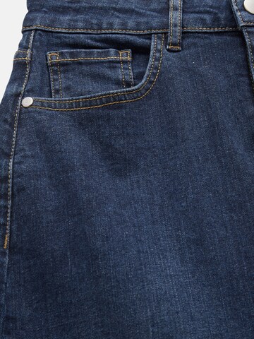 Cellbes of Sweden Klederdracht rok in Blauw
