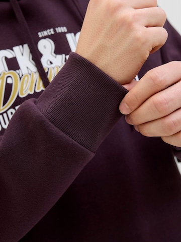 JACK & JONES Sweatshirt in Lila