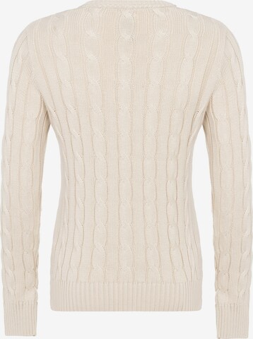 DENIM CULTURE Pullover 'LUDOVICA' in Beige