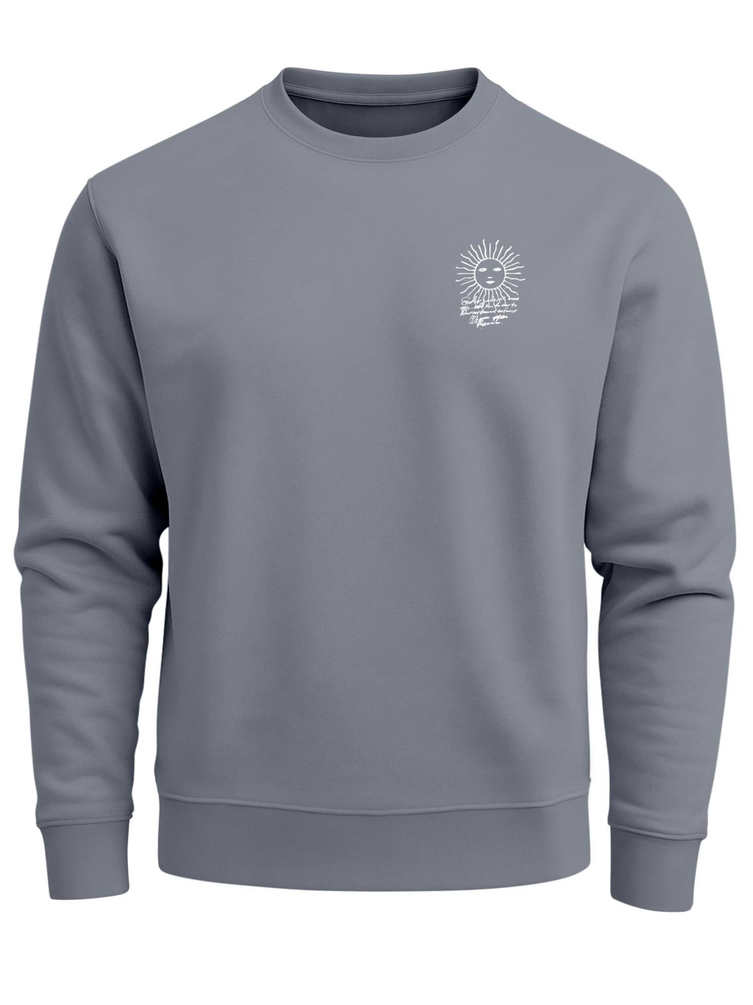 Neverless Sweatshirt 'Compass' in Grey: front