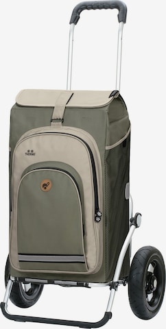 Trolley 'Hydro 2.0' di Andersen Shopper in verde: frontale