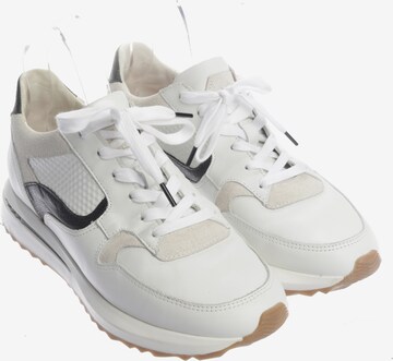 Floris van Bommel Turnschuhe / Sneaker 38,5 in Mischfarben: Vorderseite