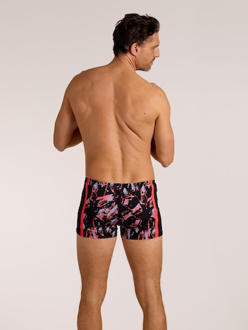 wavebreaker Swim Trunks in Black