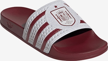 ADIDAS PERFORMANCE Plážové / kúpacie topánky 'Trefoil' - Červená: predná strana