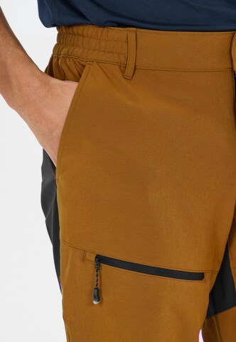 Whistler Regular Sports trousers 'Avatar' in Orange