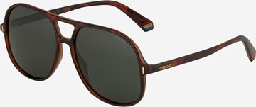 Polaroid Sunglasses in Brown: front