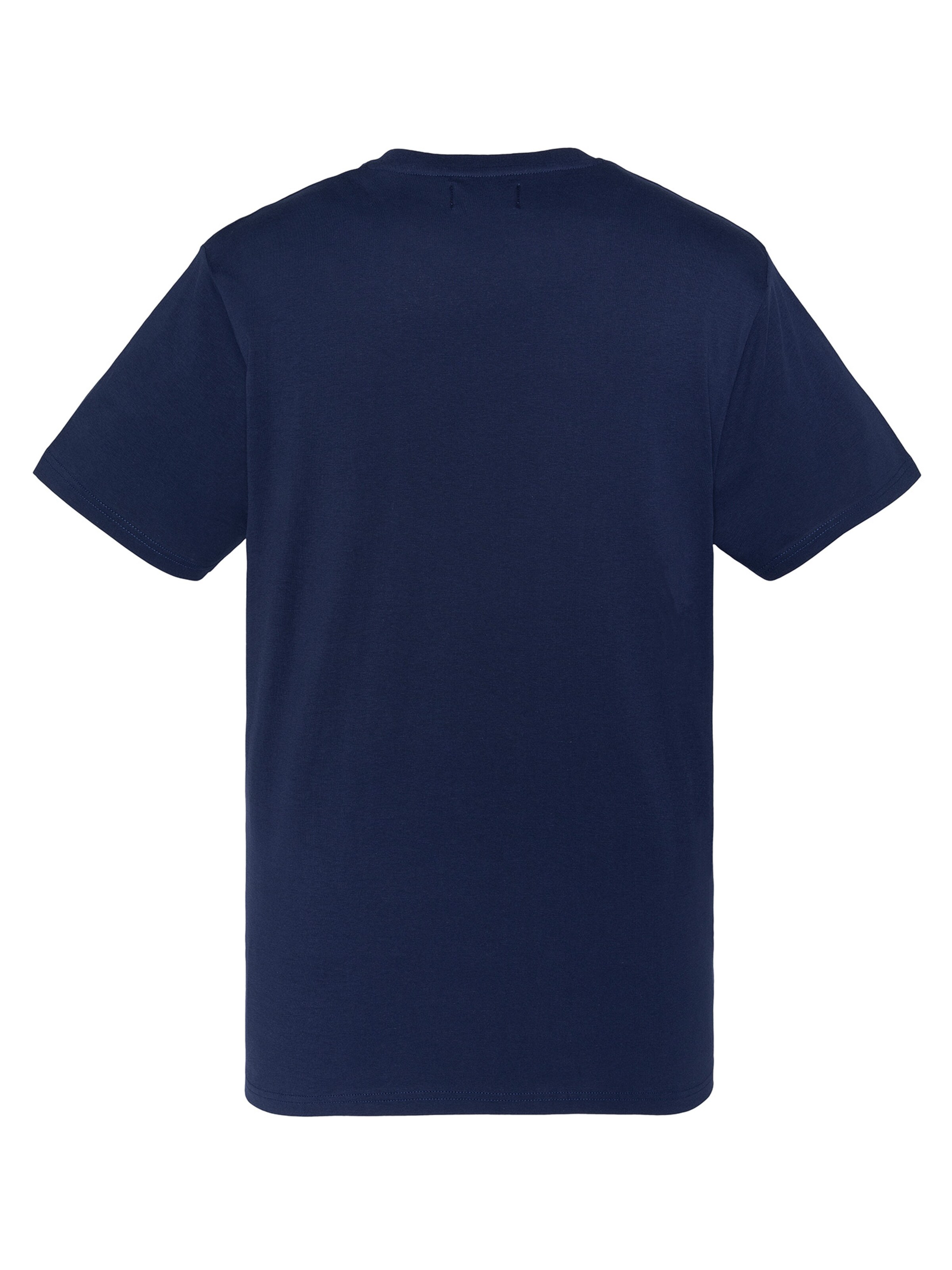 Schott NYC Shirt in Blue