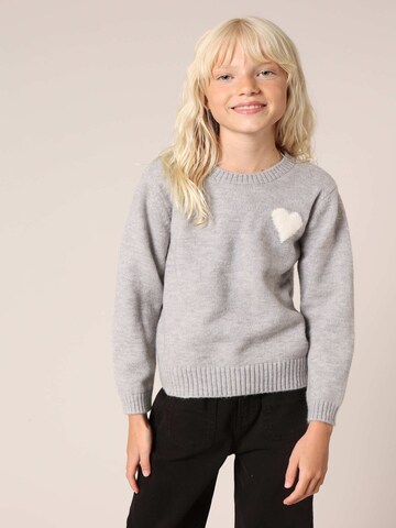 Pull-over 'ADONIS' Deeluxe en gris : devant