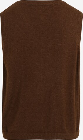 OBJECT Petite Sweater 'THESS' in Brown