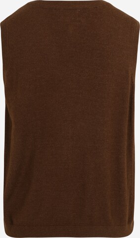 Pull-over 'THESS' OBJECT Petite en marron