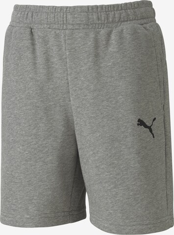 PUMA Regular Pants in Grey: front