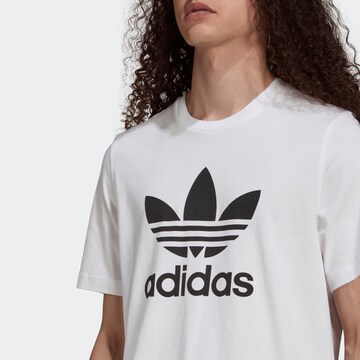 ADIDAS ORIGINALS T-Shirt 'Adicolor Classics Trefoil' in Weiß