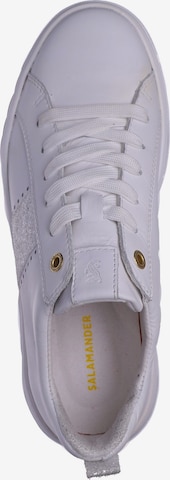 SALAMANDER Sneakers in White