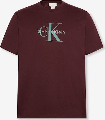 Calvin Klein Jeans Футболка 'Hero' в Коричневый: спереди