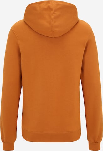 Iriedaily - Regular Fit Sweatshirt em castanho
