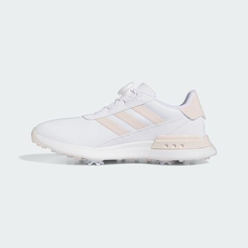 Chaussure de sport ADIDAS PERFORMANCE en blanc