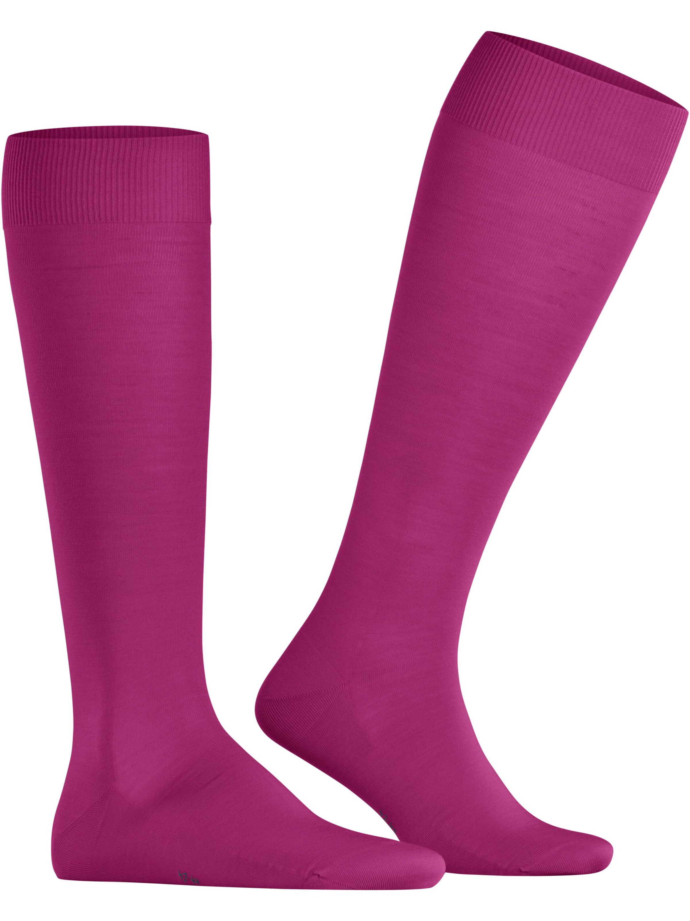 FALKE Knee High Socks 'ClimaWool' in Purple