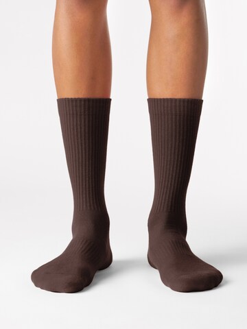 Von Jungfeld Socks 'CASUAL CLASSIC' in Brown: front