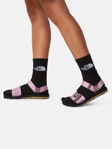 THE NORTH FACE Strap sandal 'W SKEENA' in Purple: front