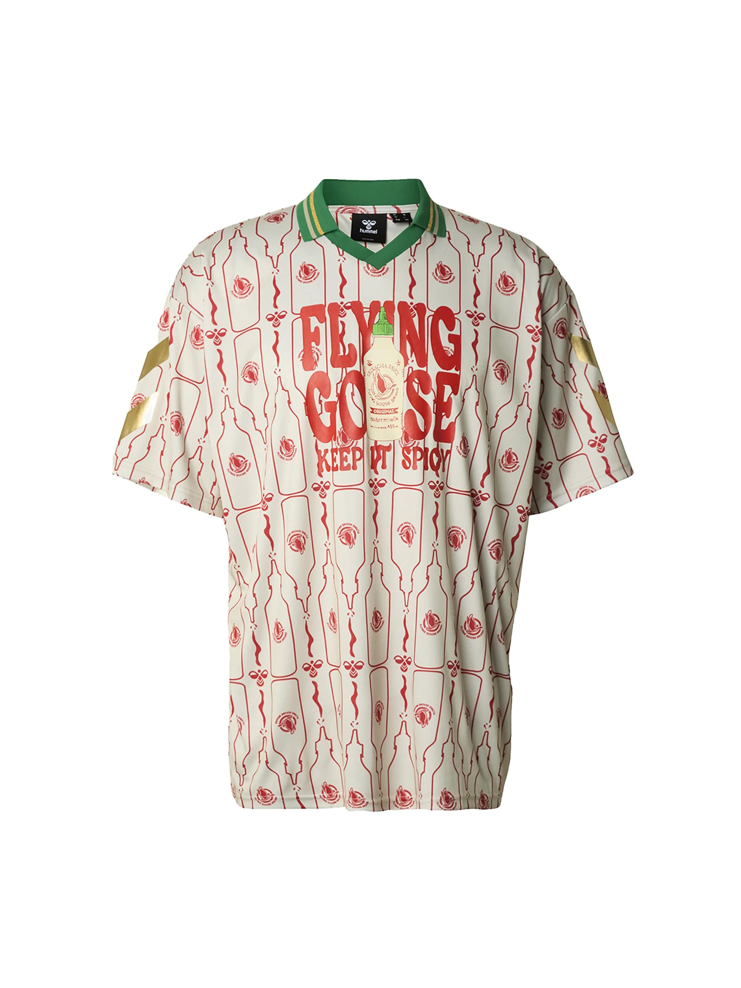 Hummel Shirt in Mixed colors: front