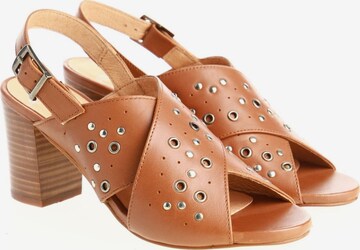 ANAKI Paris Sandals & High-Heeled Sandals in 38 in Brown: front